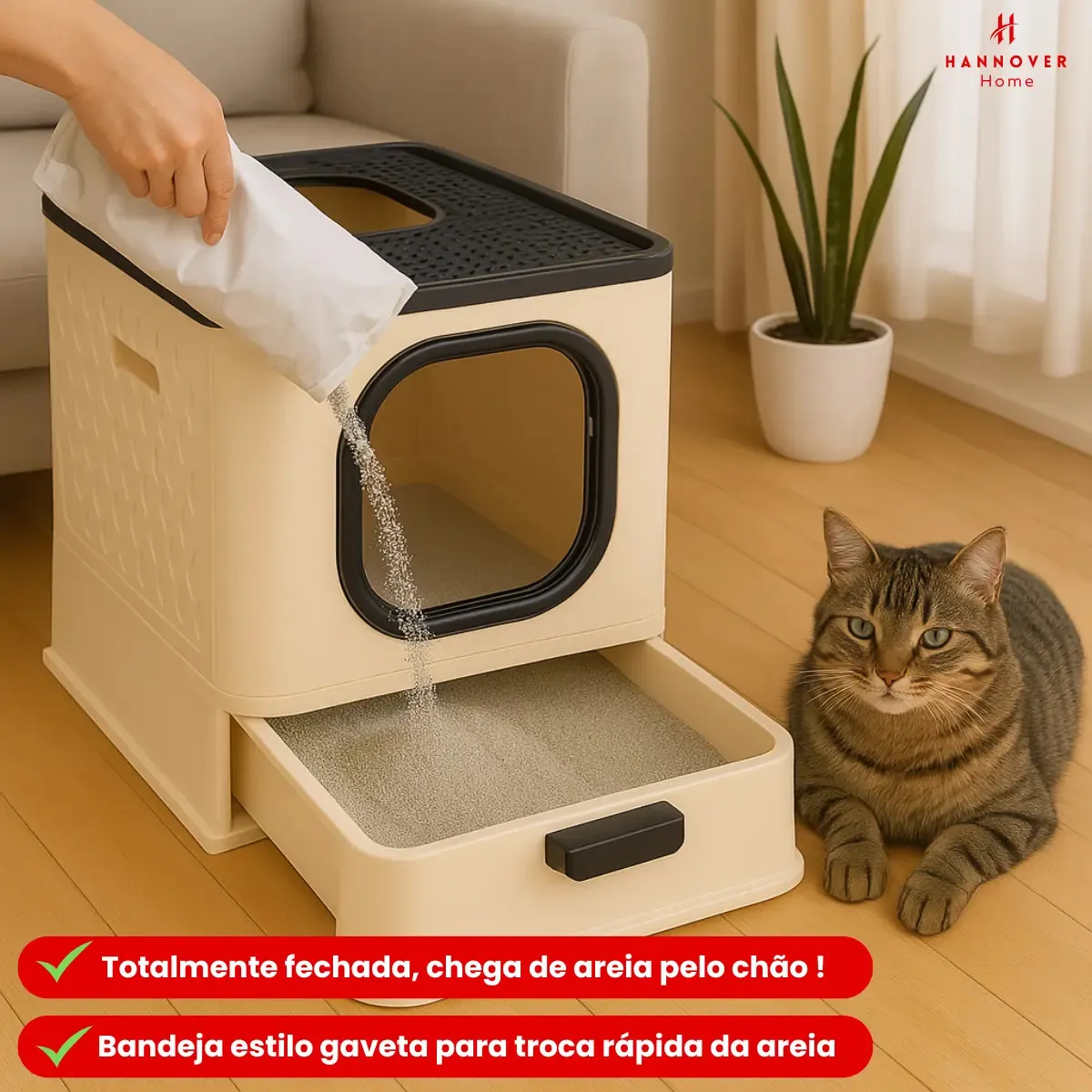 Imagem 4