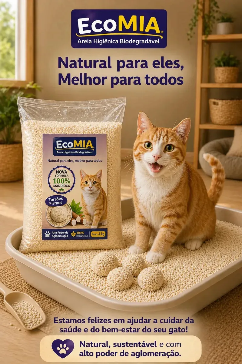 Imagem 6