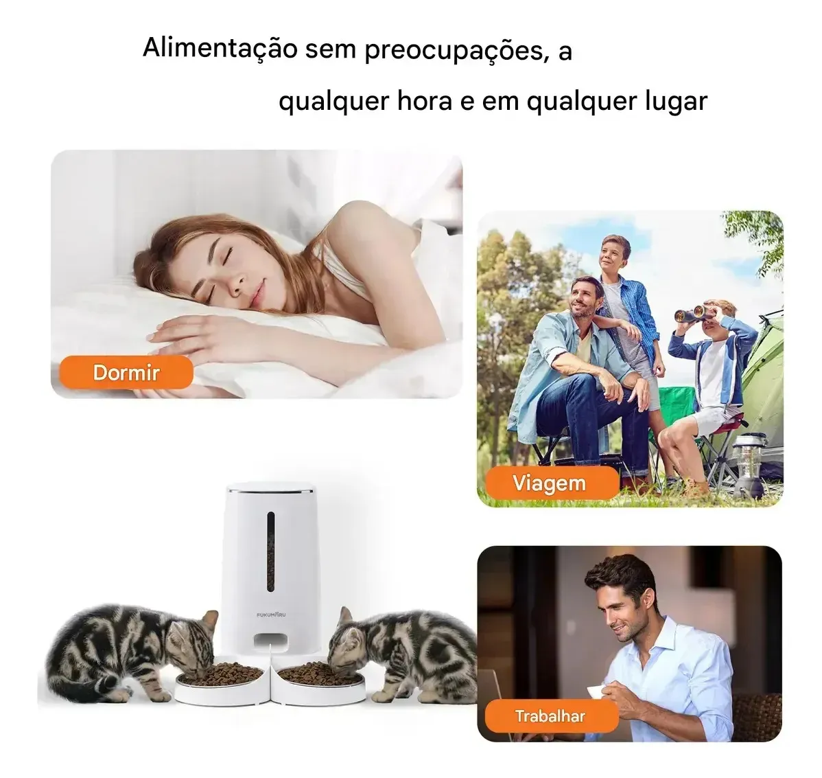 Imagem 5