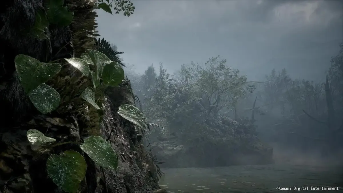 Imagem 3