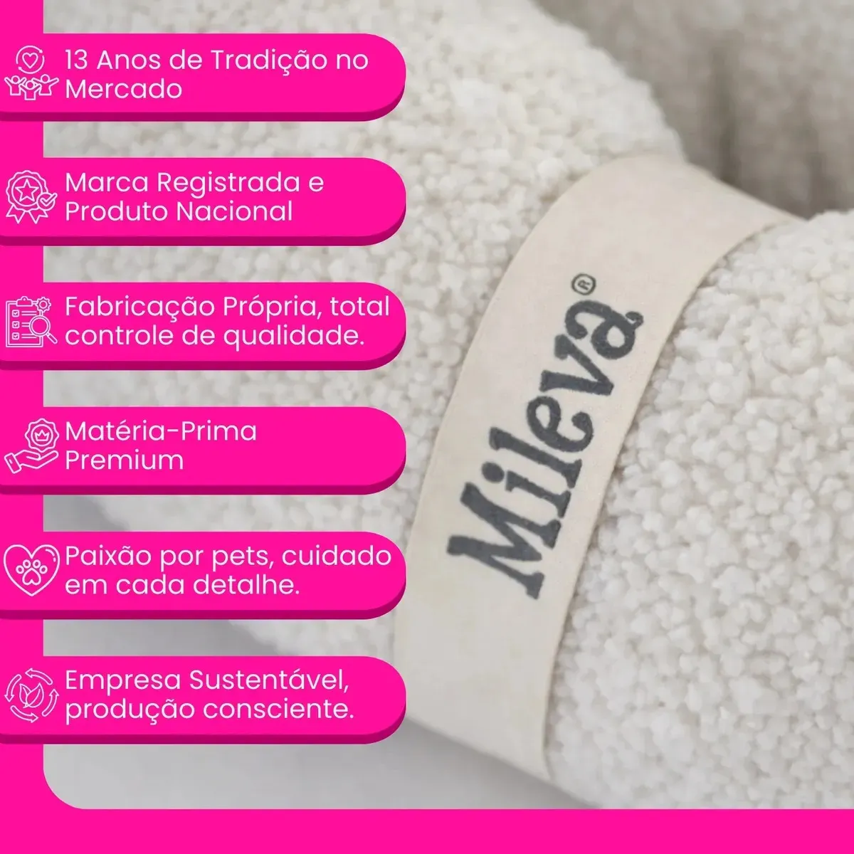 Imagem 7