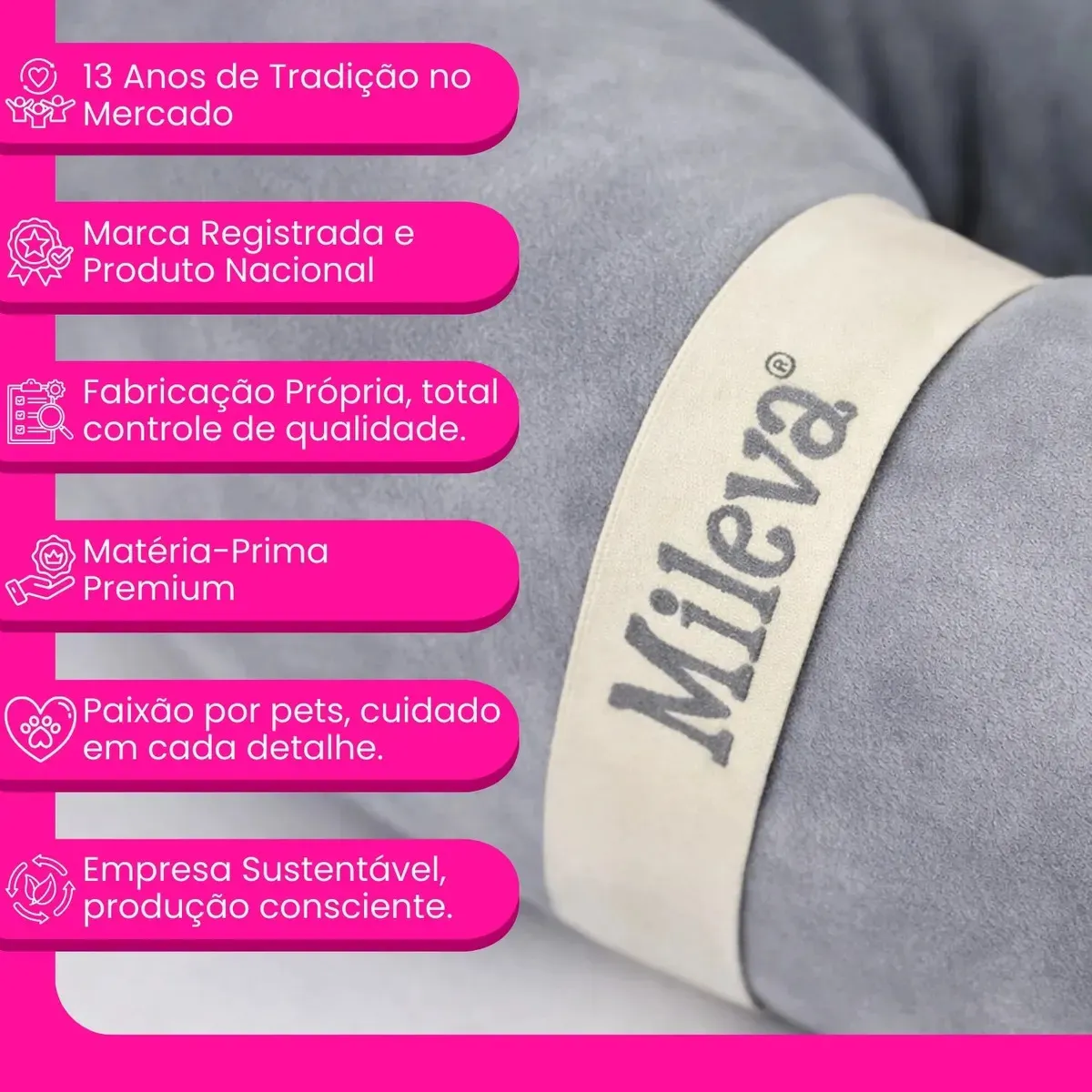 Imagem 6