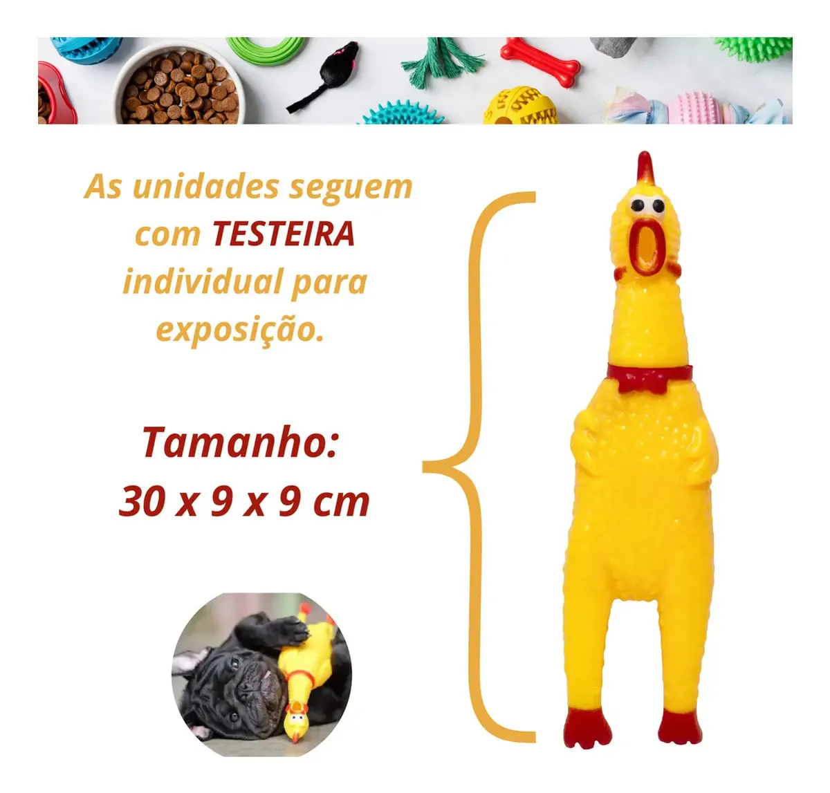 Imagem 3